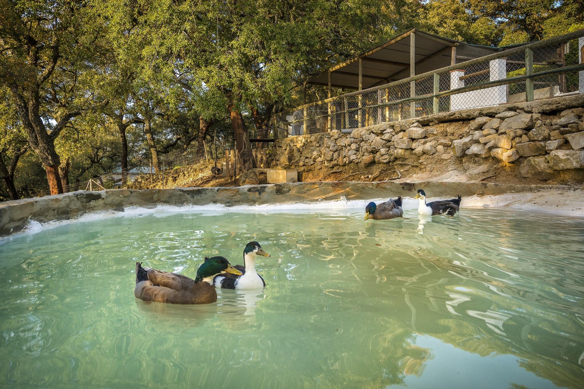Hotel Fuerte Grazalema Ngoại thất bức ảnh