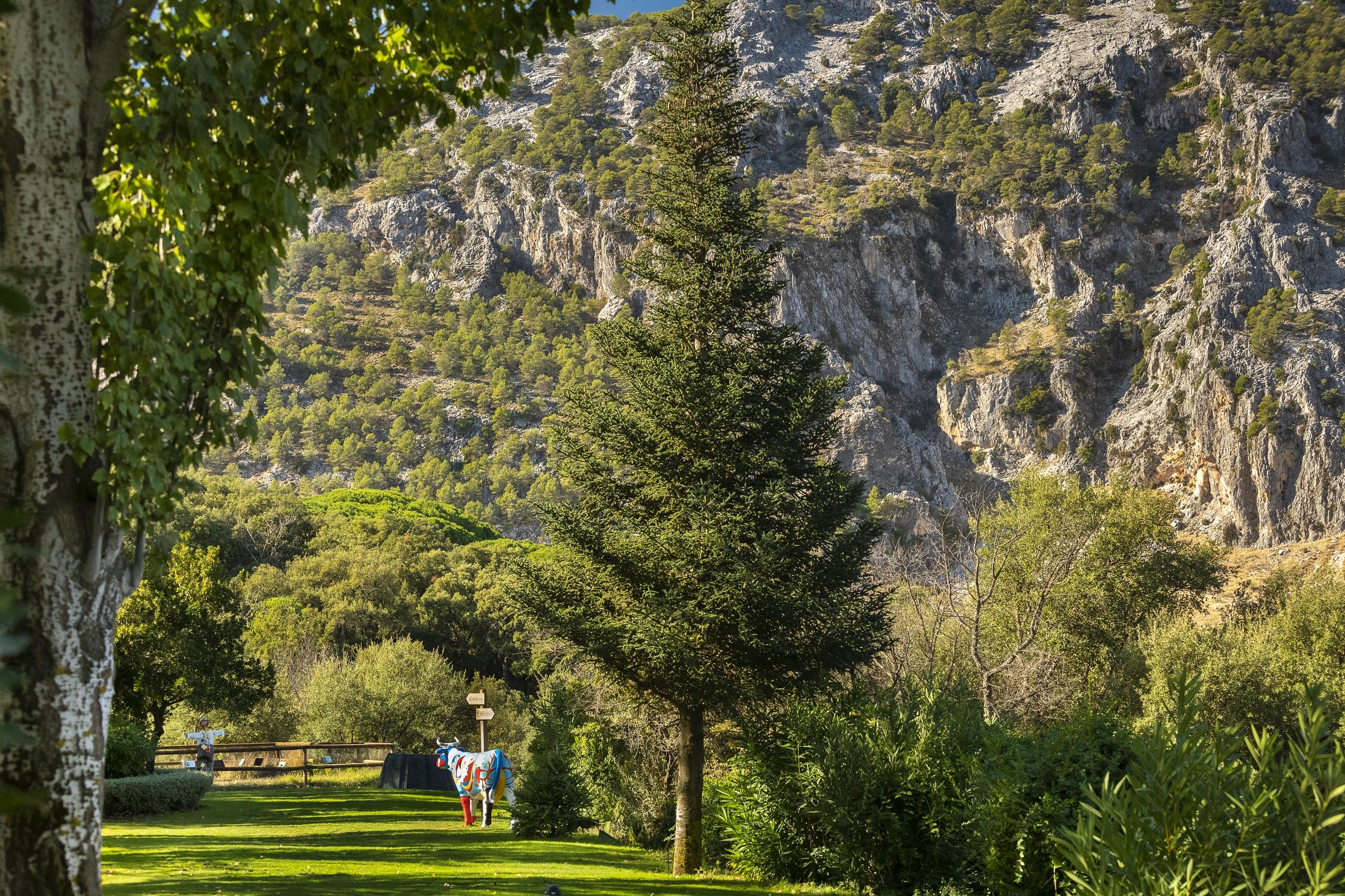 Hotel Fuerte Grazalema Ngoại thất bức ảnh